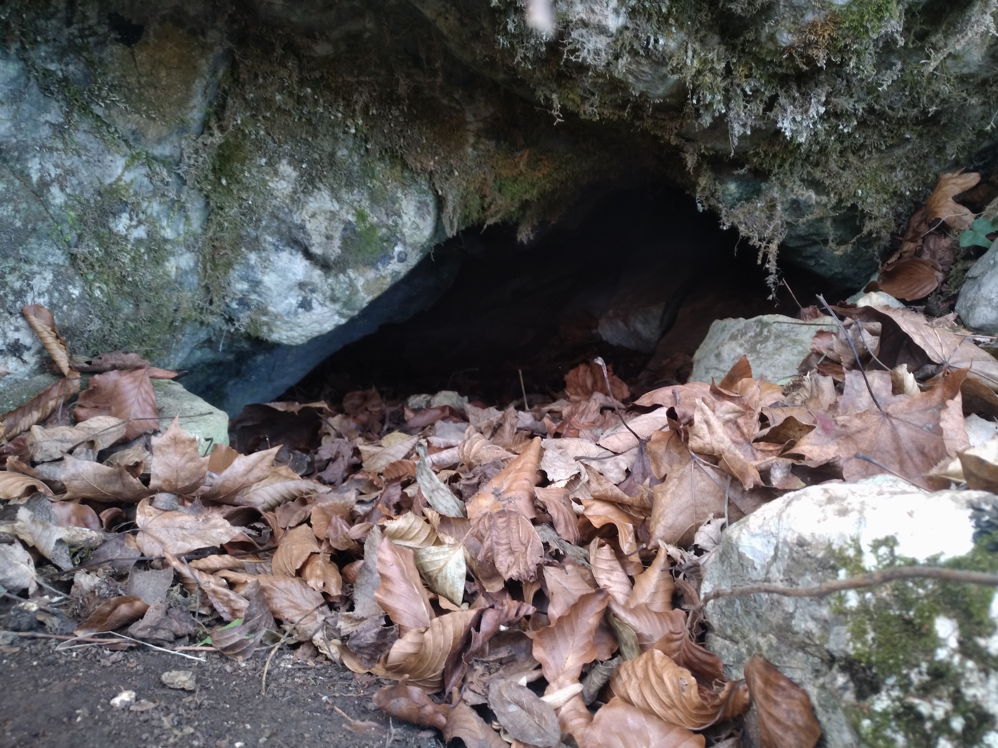 Pestera Socolovat Nr.15 - Image 1